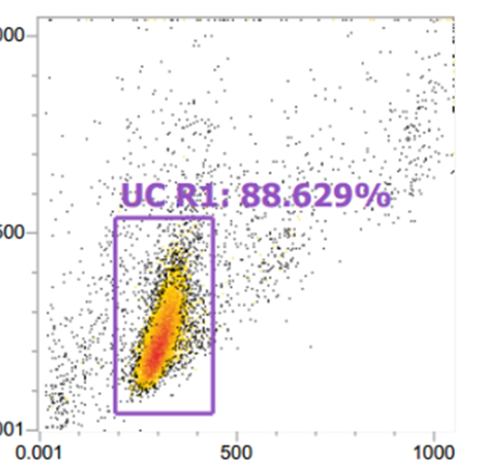 APC-Annexin V/PI 细胞凋亡试剂盒 货号:               A6030S/A6030M/A6030L  规格:               10T/50T/100T