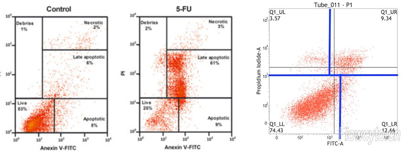 APC-Annexin V/PI 细胞凋亡试剂盒 货号:               A6030S/A6030M/A6030L  规格:               10T/50T/100T